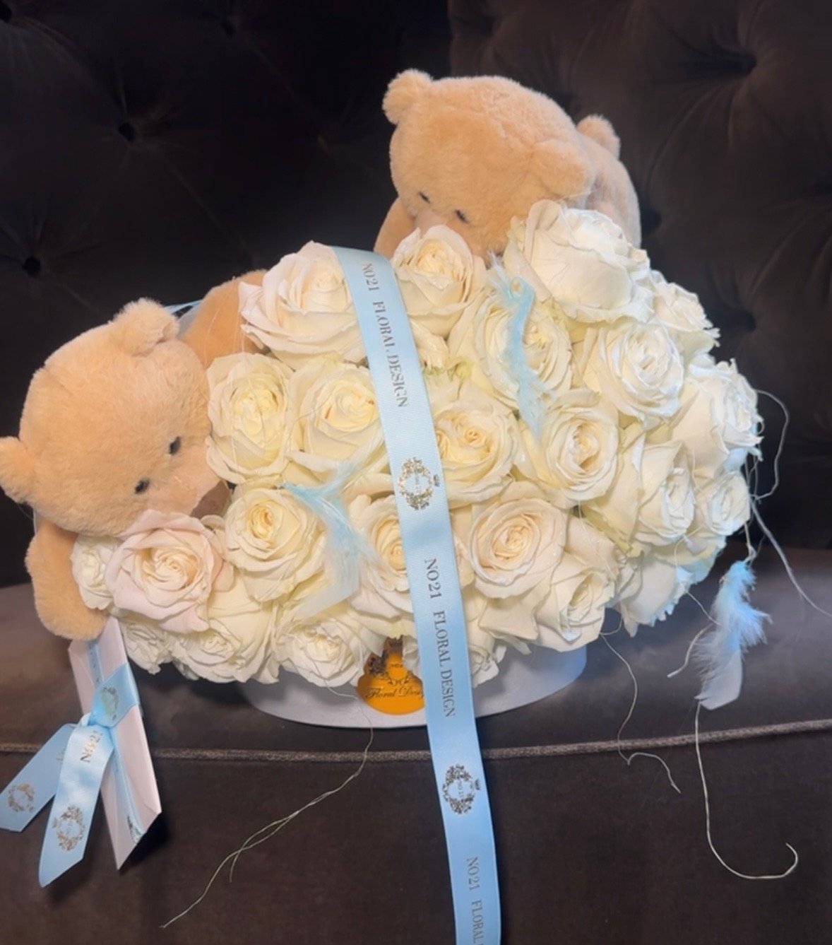Teddy Bear CLoud