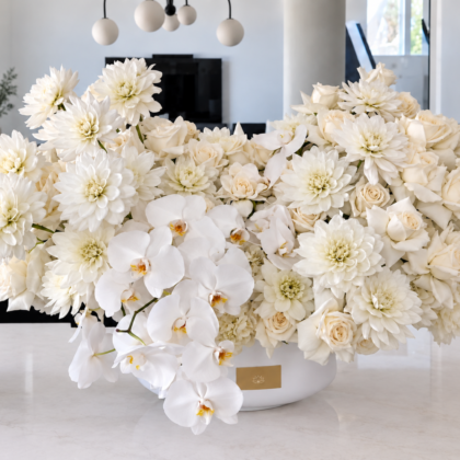 Ivory Cloud